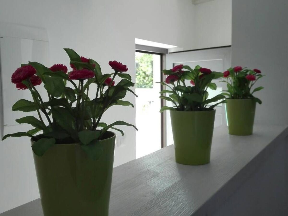 Villa Stella, maison 7 chambres avec penthouse spa à Bokordici - Photo 61
