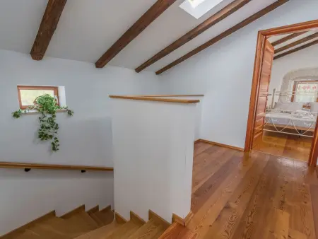 Maison en pierre Peresiji, piscine et cuisine extérieure : photo 48
