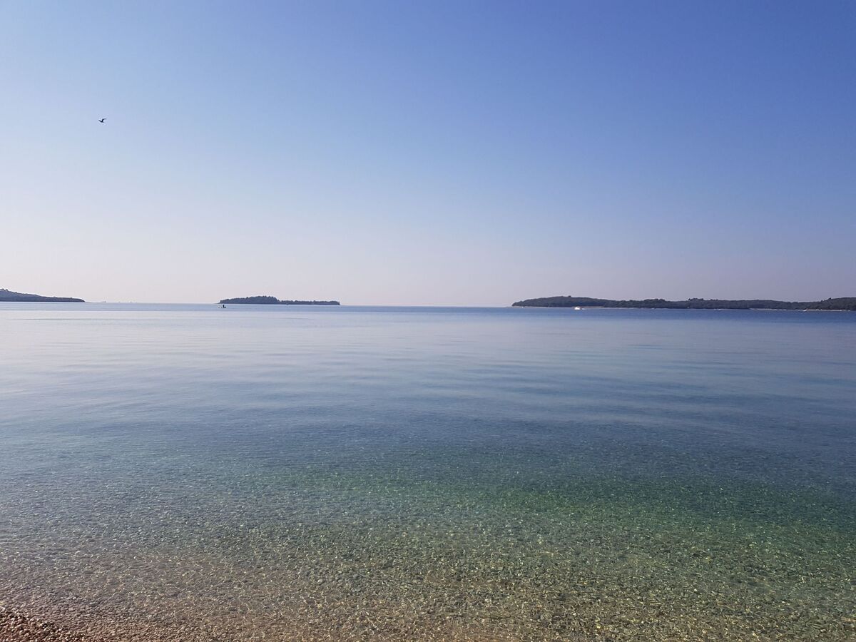 Villa Valbandon : maison 10 pers., piscine et sauna à Fažana - Photo 46