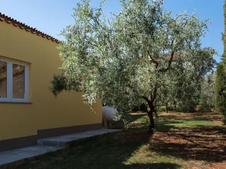 Villa 12 personnes avec piscine privée à Pula : photo 40