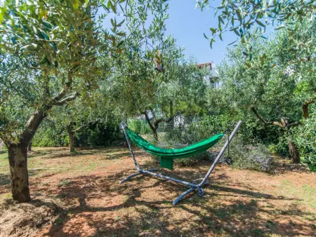 Villa 12 personnes avec piscine privée à Pula : photo 41