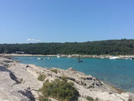 Villa Markulin, 3 chambres avec piscine privée à Šišan : photo 44