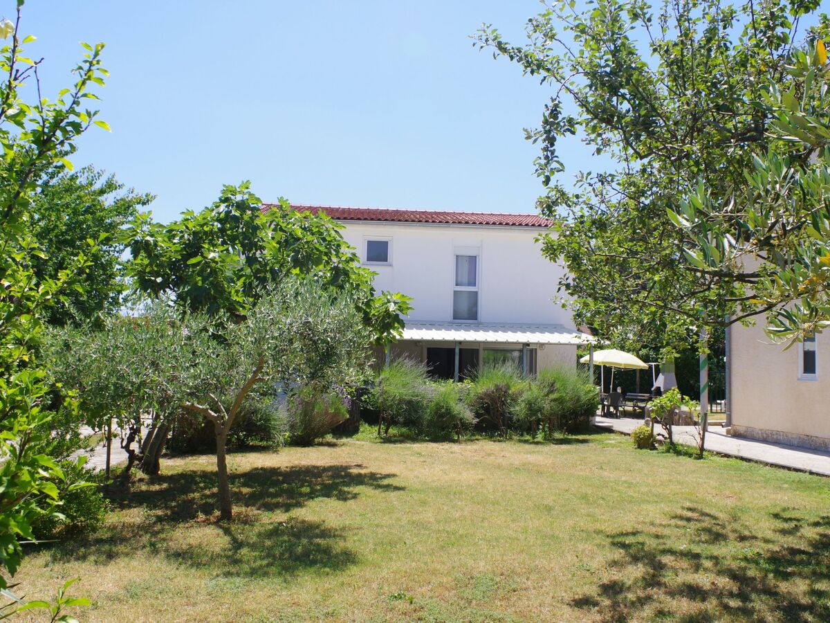 Maison 5 chambres à Premantura, 500m de la mer - Photo 1