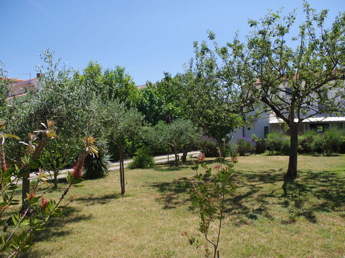 Maison 5 chambres à Premantura, 500m de la mer - Photo 36