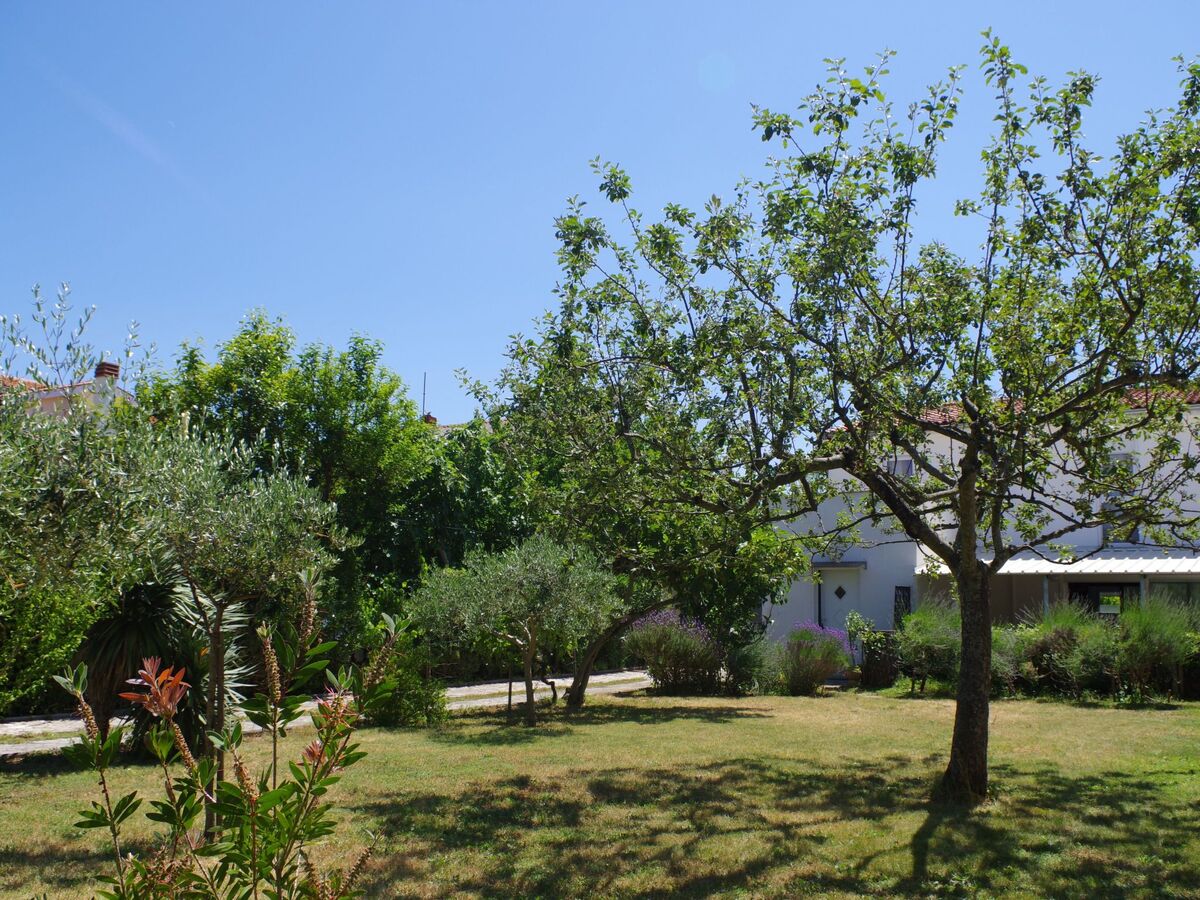Maison 5 chambres à Premantura, 500m de la mer - Photo 45