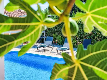 Villa Dante Medulin : piscine 8x4m, 5 chambres, 11 pers. : photo 24