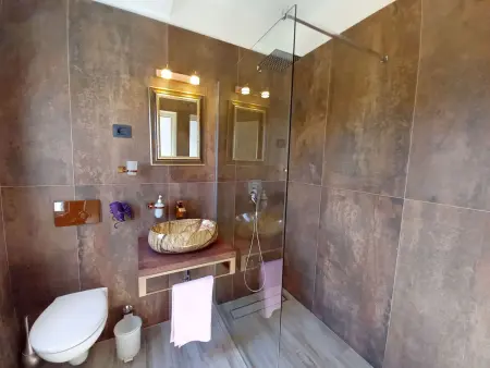 Maison 10 personnes avec jardin clos 1500 m² à Medulin : photo 16