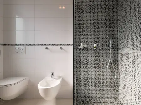 Villa Elodie, maison 6 chambres avec piscine à Medulin : photo 48