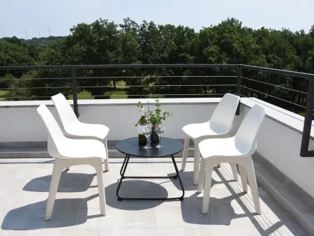Villa Luxury Villa Tara, piscine chauffée à Medulin : photo 46