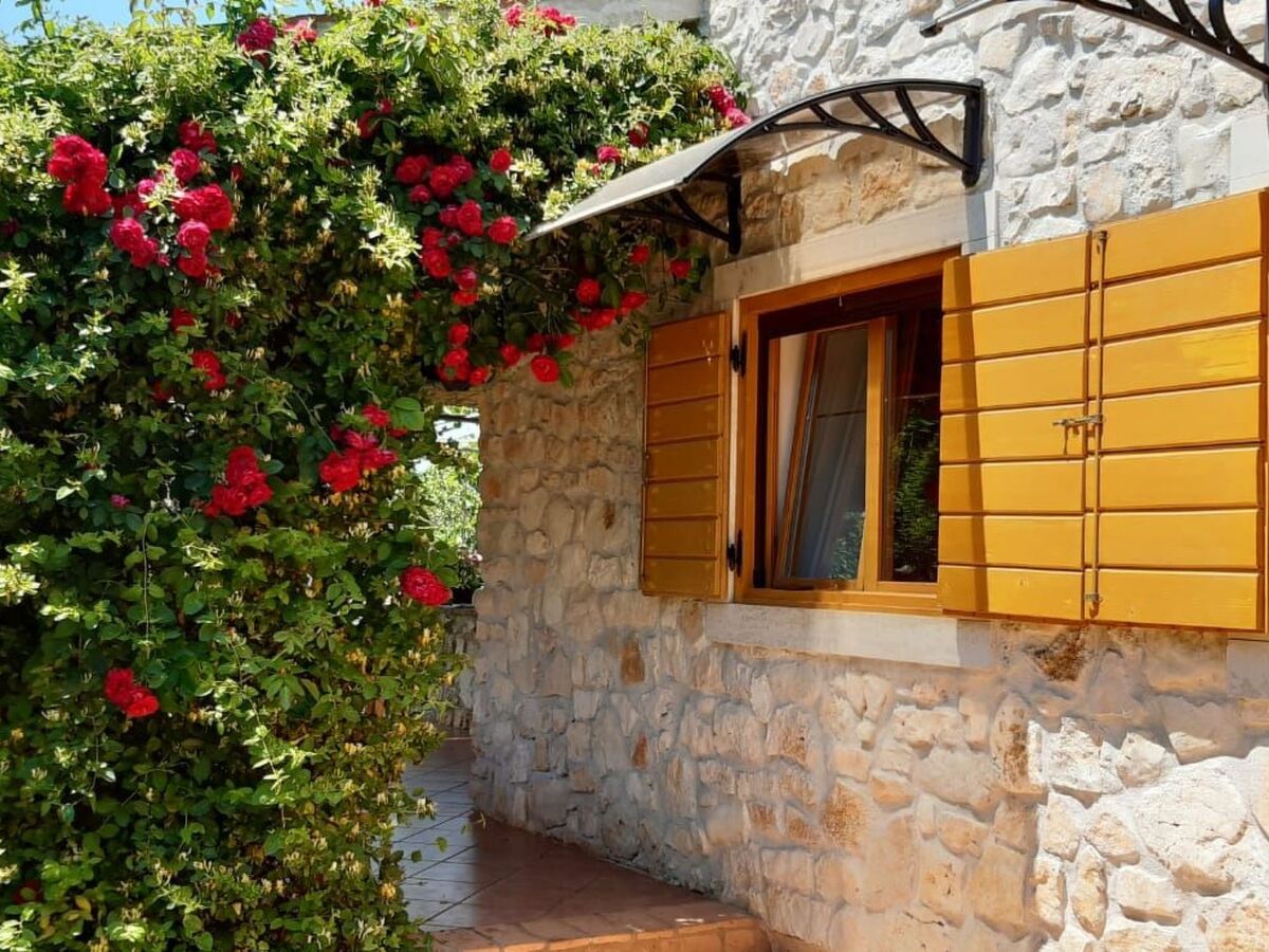 Maison 2 chambres avec jardin et terrasse ensoleillée à Medulin - Photo 1