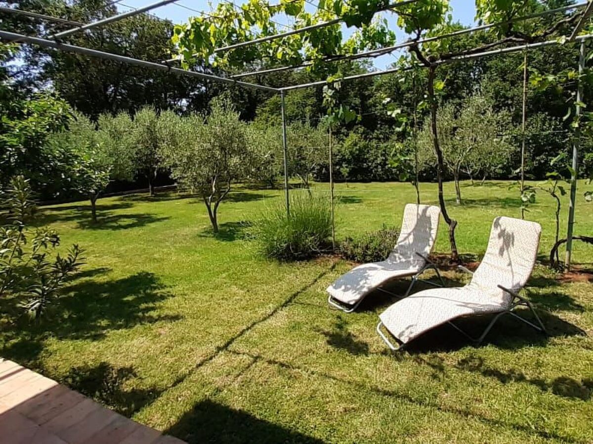 Maison 2 chambres avec jardin et terrasse ensoleillée à Medulin - Photo 12