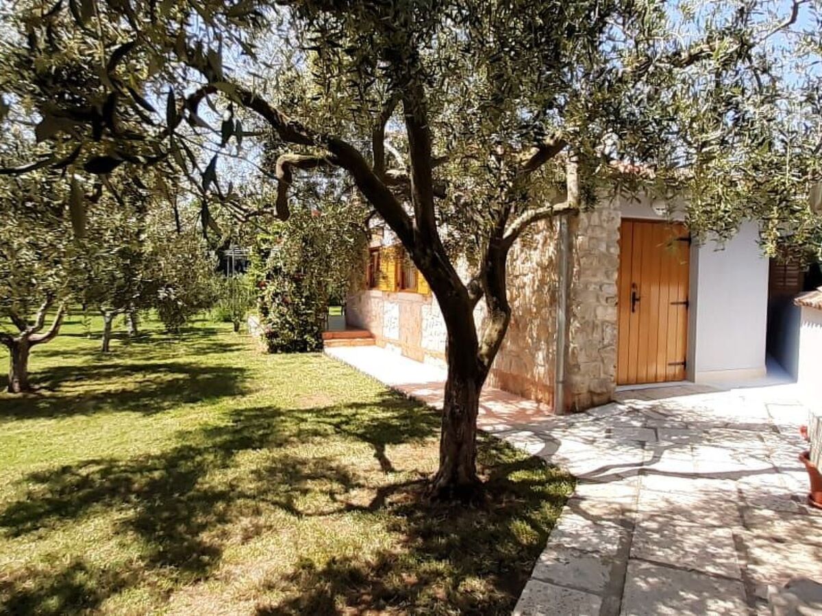 Maison 2 chambres avec jardin et terrasse ensoleillée à Medulin - Photo 15