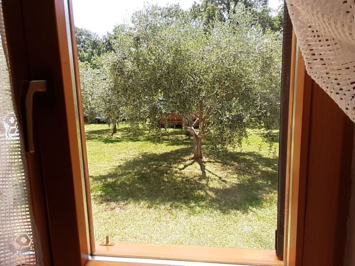 Maison 2 chambres avec jardin et terrasse ensoleillée à Medulin - Photo 35