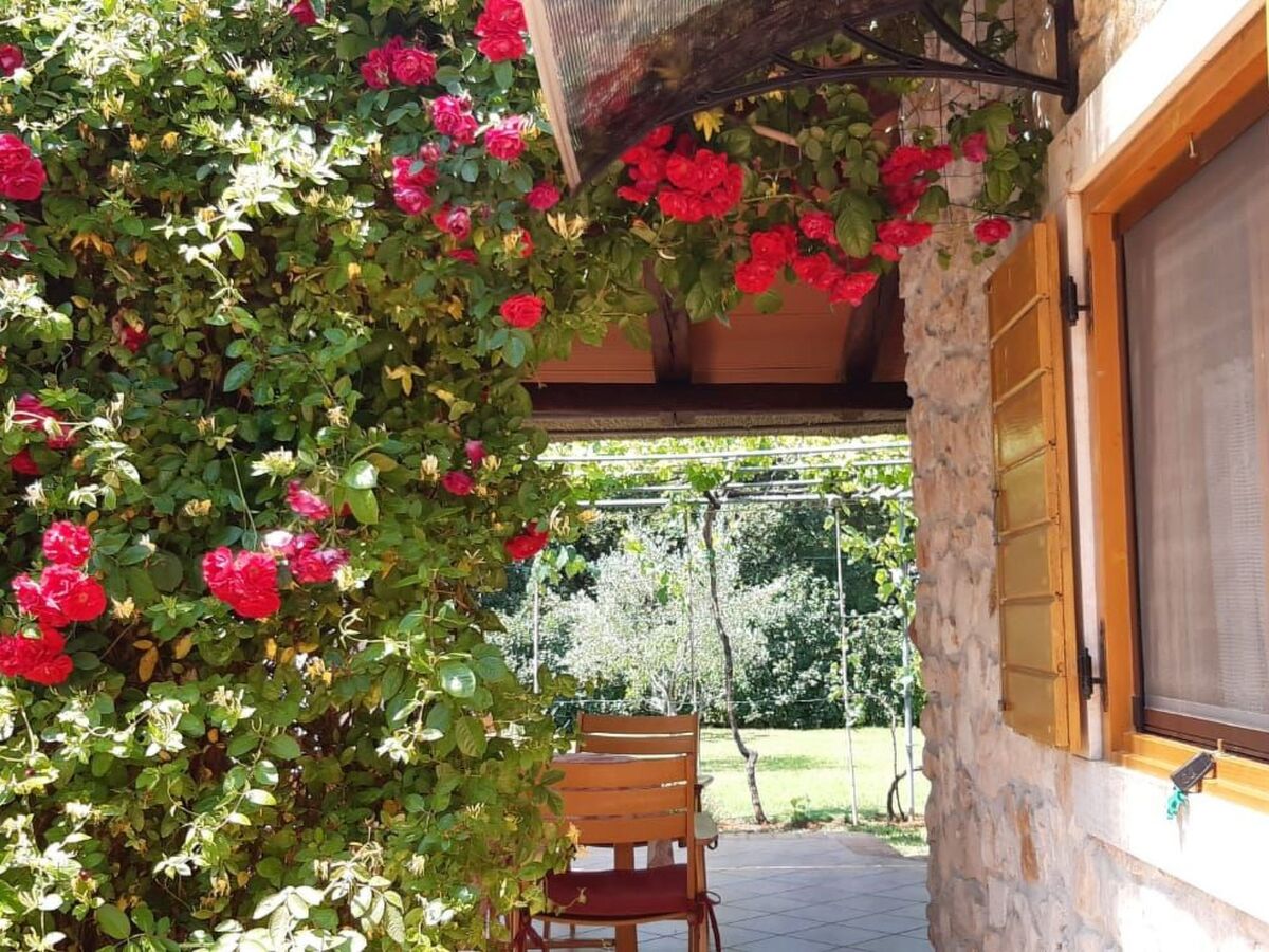 Maison 2 chambres avec jardin et terrasse ensoleillée à Medulin - Photo 36