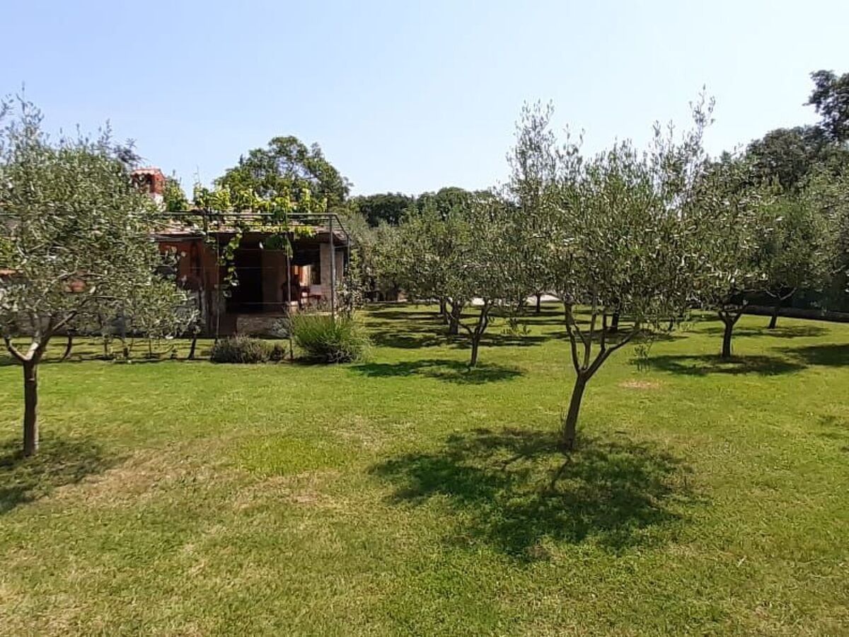 Maison 2 chambres avec jardin et terrasse ensoleillée à Medulin - Photo 42
