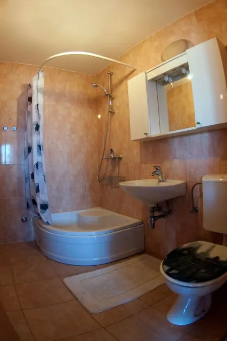 Villa Maja : maison 10 pers., piscine privée et jardin : photo 18