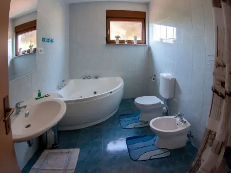 Villa Maja : maison 10 pers., piscine privée et jardin : photo 30