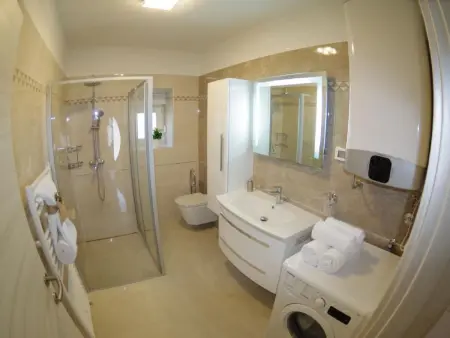Villa 5 chambres avec piscine à Kujići : photo 27