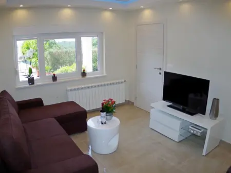 Villa 5 chambres avec piscine à Kujići : photo 28