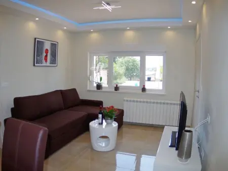 Villa 5 chambres avec piscine à Kujići : photo 33