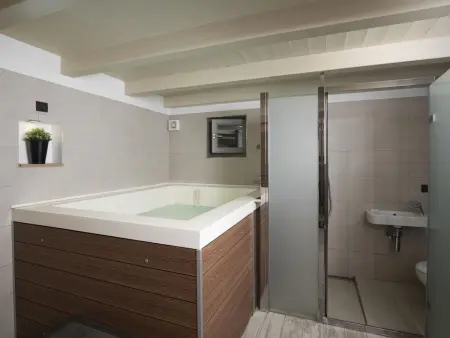 Heritage Villa Lilly – Maison 7 personnes, sauna et piscine privée : photo 33
