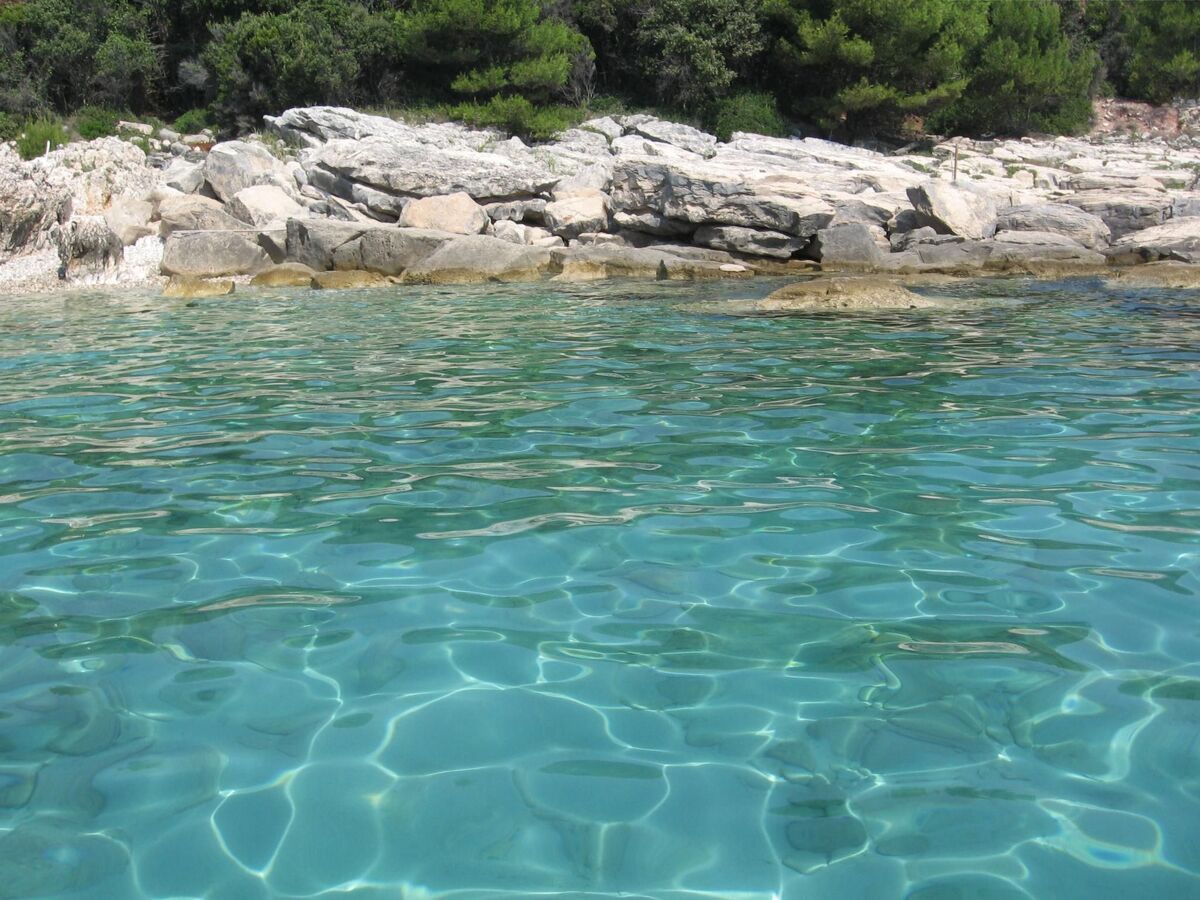 Vickovi : maison Istrie avec piscine partagée - Photo 22