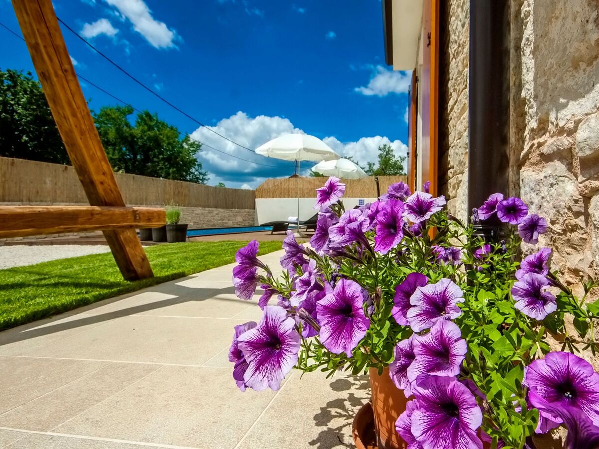 Villa Ivka, maison 7 pers. avec piscine à Barban - Photo 25