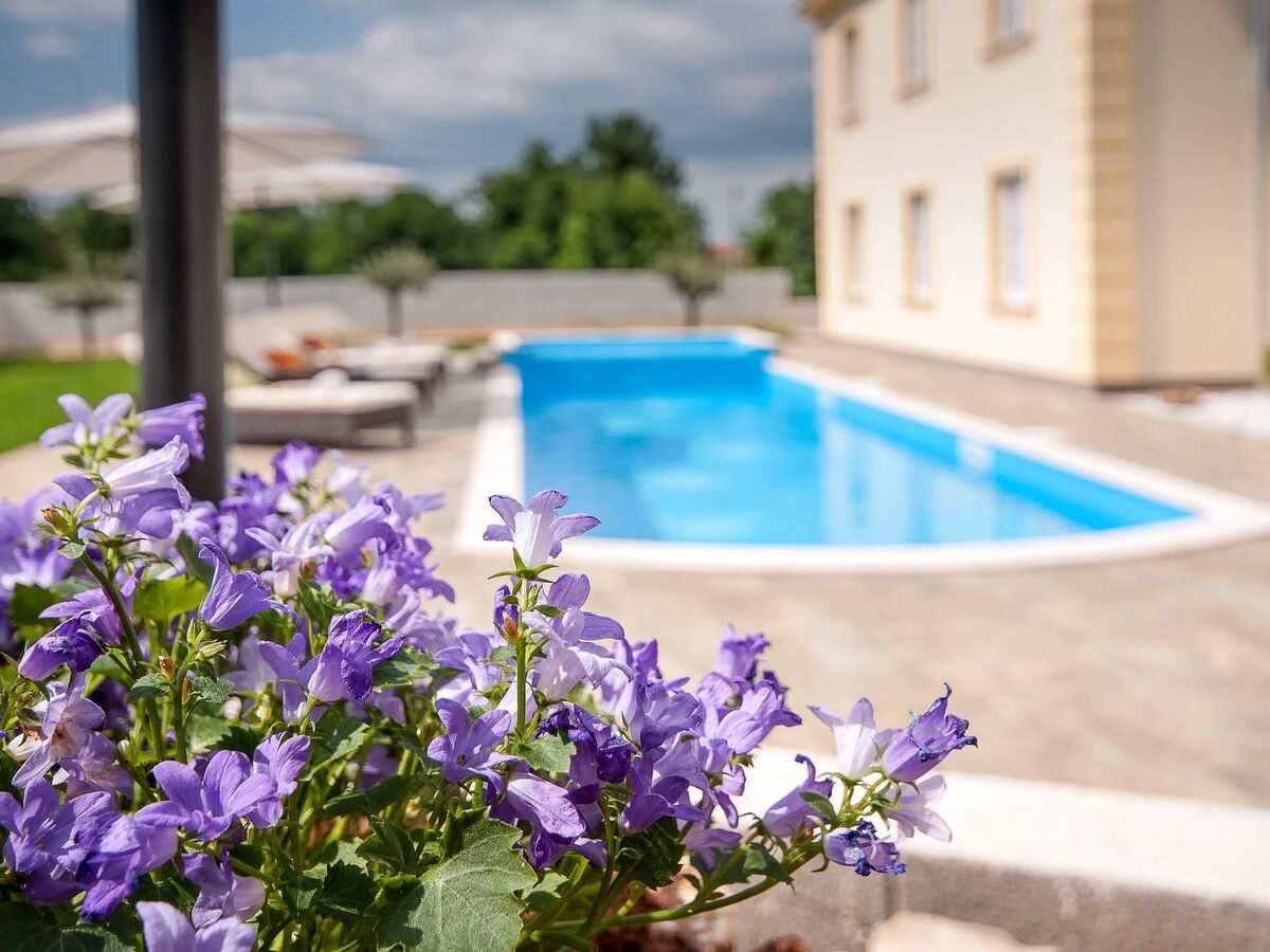 Villa Jakov - Maison 8 pers. avec piscine privée - Photo 7