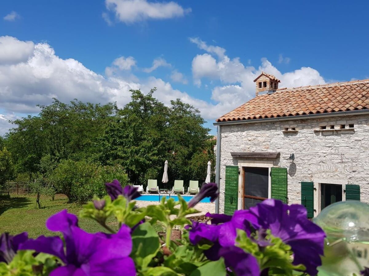 Maison en pierre avec piscine privée à Barban - Photo 1