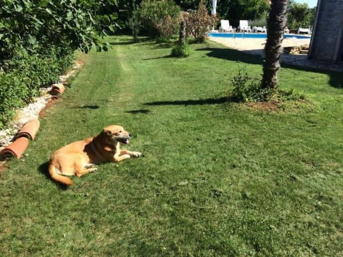 Maison en pierre avec piscine privée à Barban - Photo 58