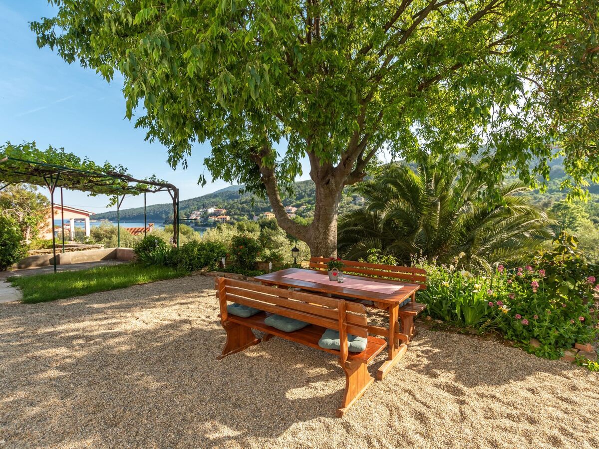 Haus Gaia – Maison 150 m de la mer à Drenje - Photo 5