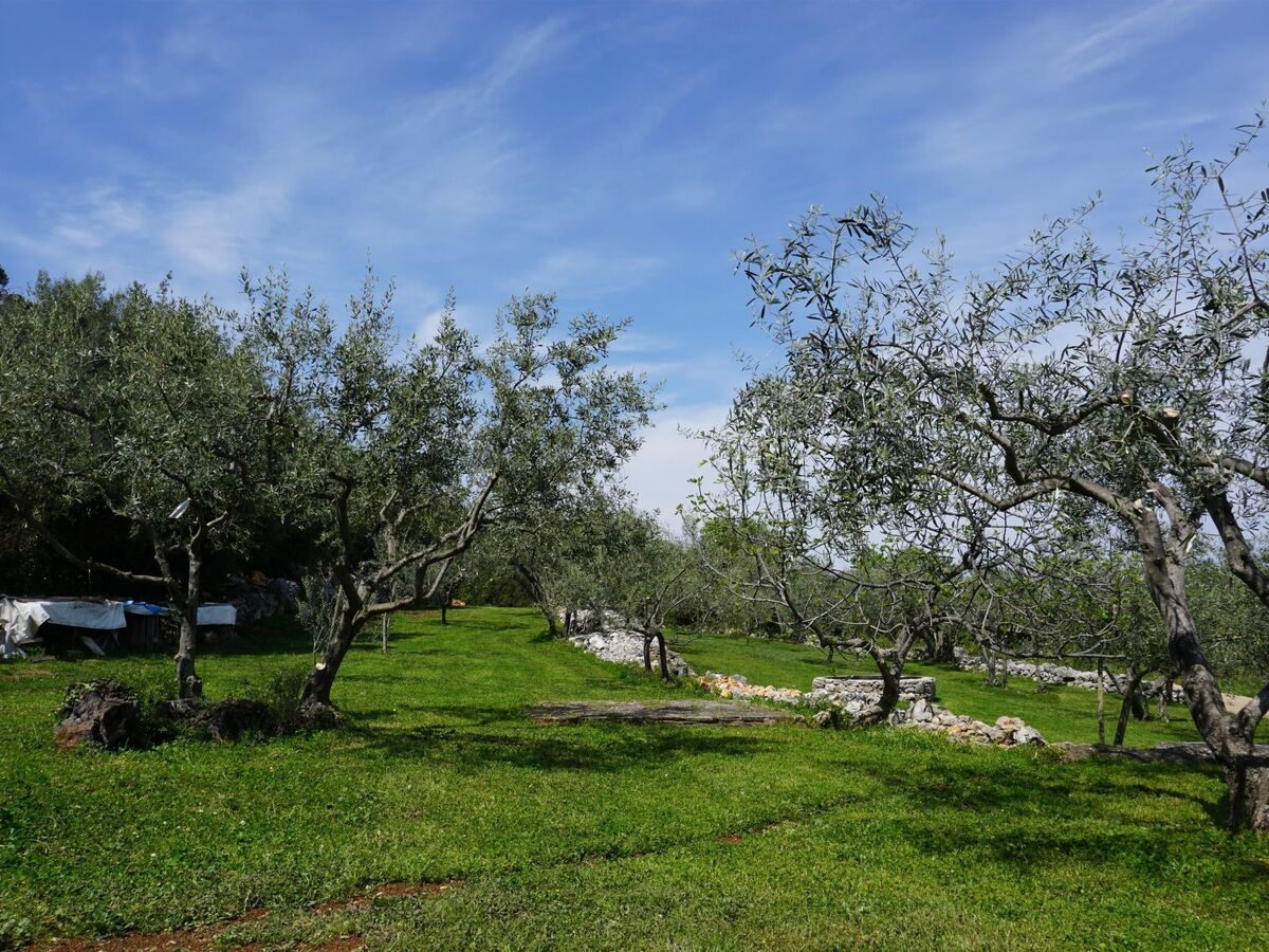 Maison Istria avec piscine privée à Drenje - Photo 34