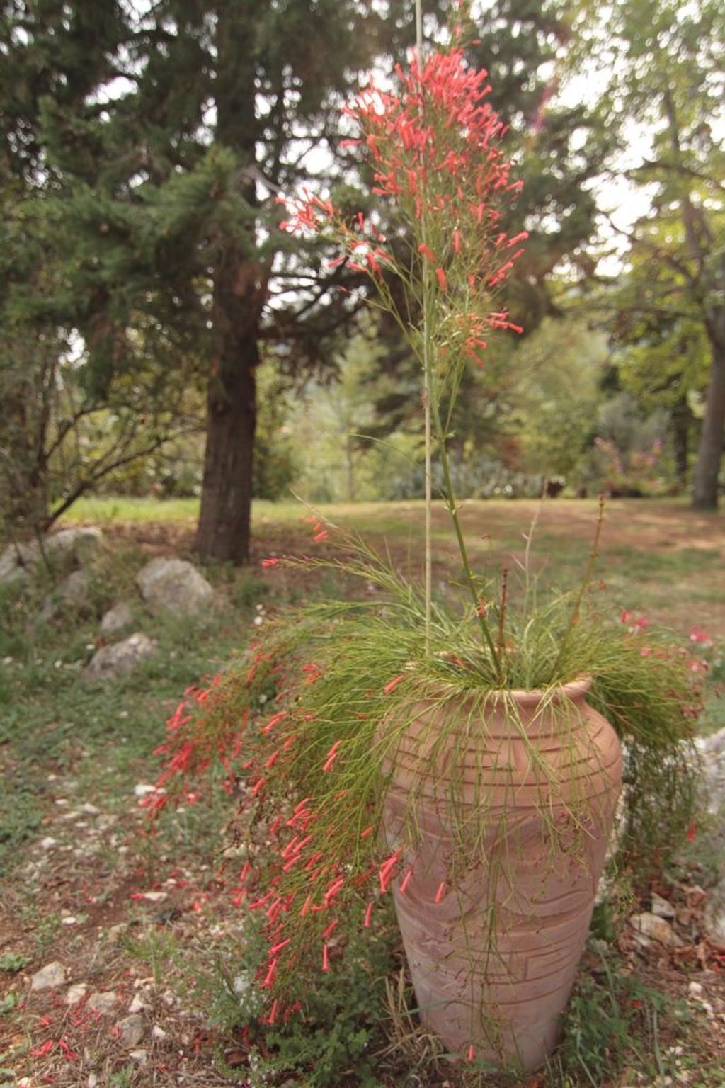 Maison en pierre du 17e siècle avec jardin privé à Drenje - Photo 13