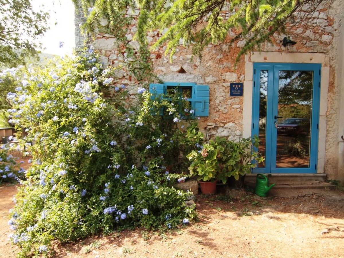 Maison en pierre du 17e siècle avec jardin privé à Drenje - Photo 29
