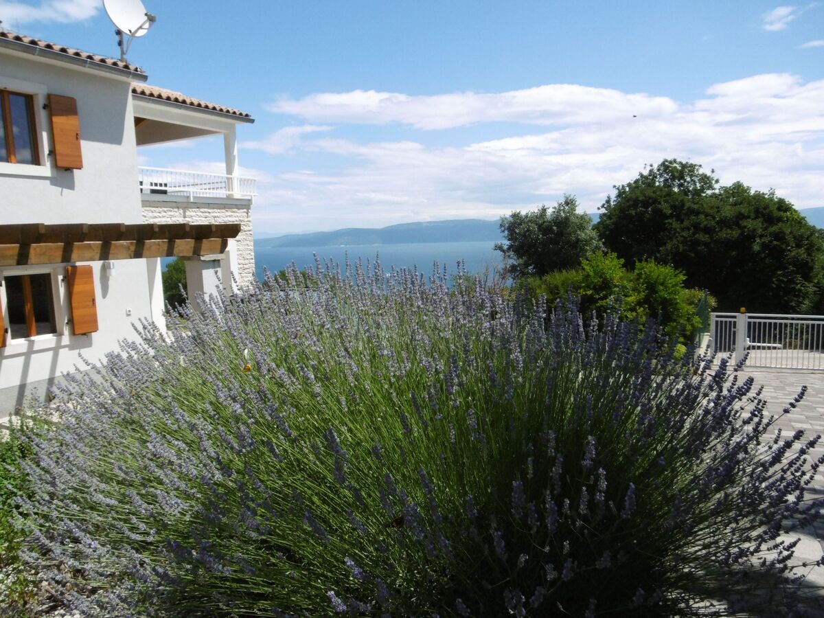 Villa Isabel & Imo à Drenje, vue mer et piscine privée - Photo 31