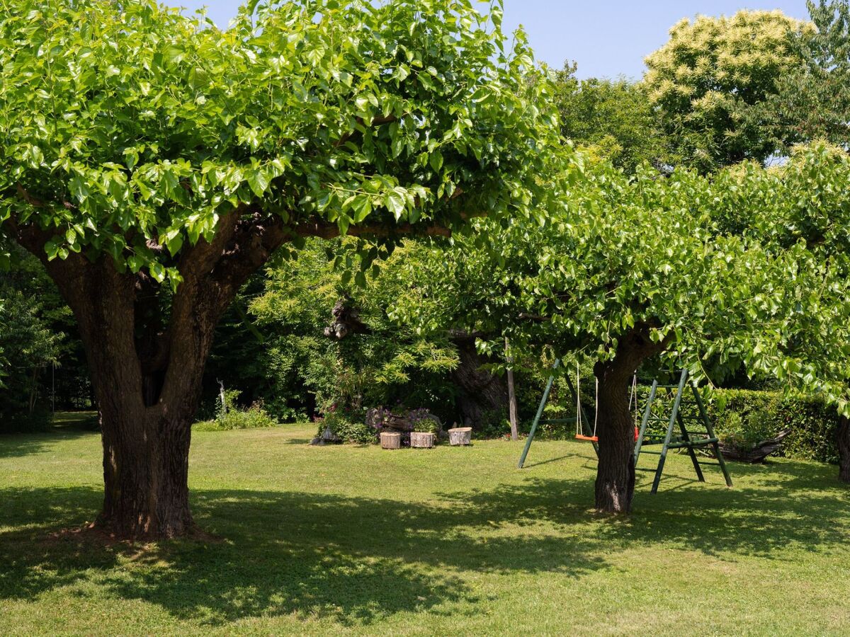Villa Stori Grod : maison rurale avec piscine à Nedescina - Photo 7