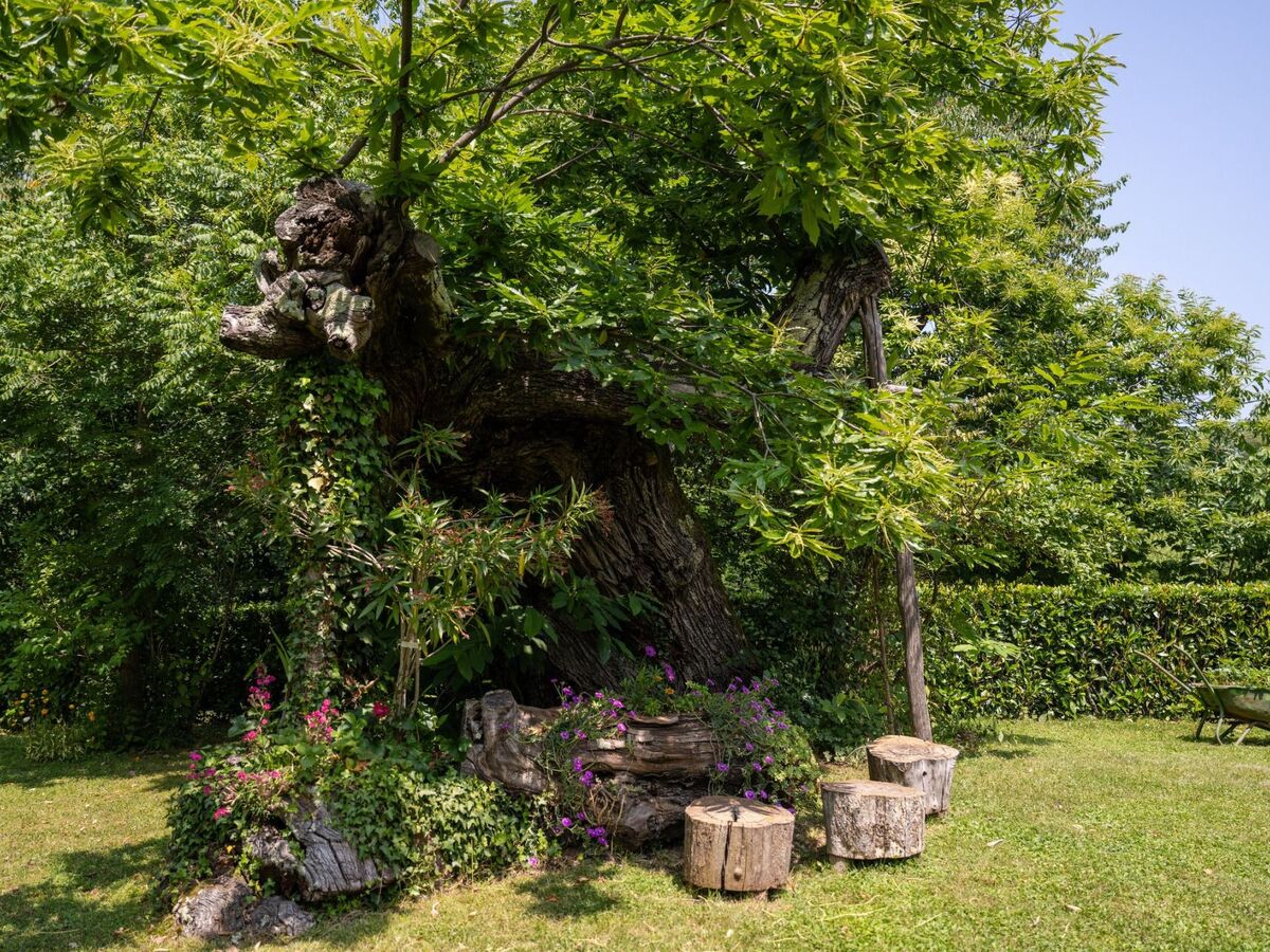 Villa Stori Grod : maison rurale avec piscine à Nedescina - Photo 11