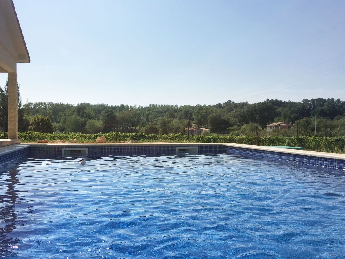 Villa Meadow, maison individuelle avec piscine chauffée - Photo 20