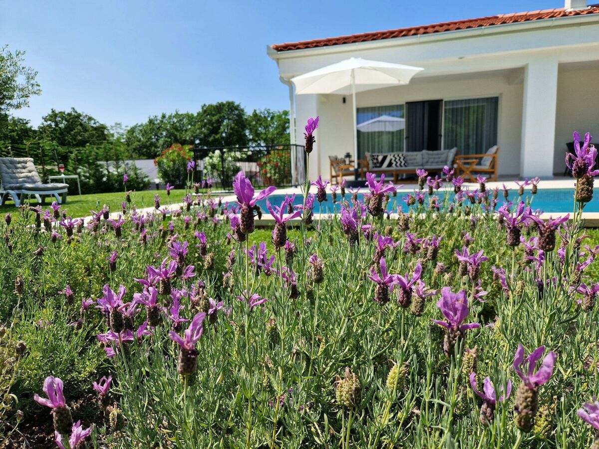 Villa Destiny, maison 8 personnes avec piscine à Nedescina - Photo 12