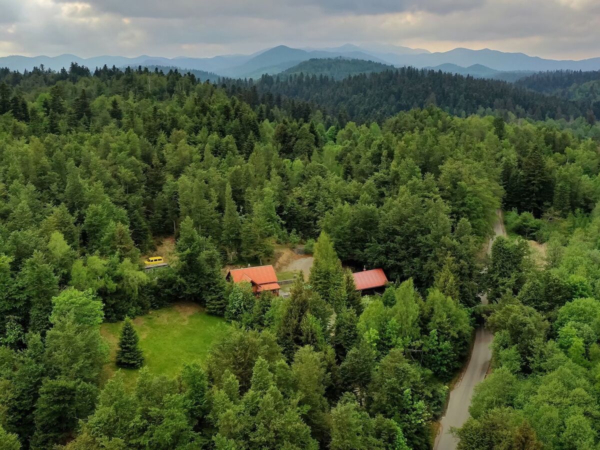 Maison bois au cœur nature de Lokve, 3 chambres - Photo 3