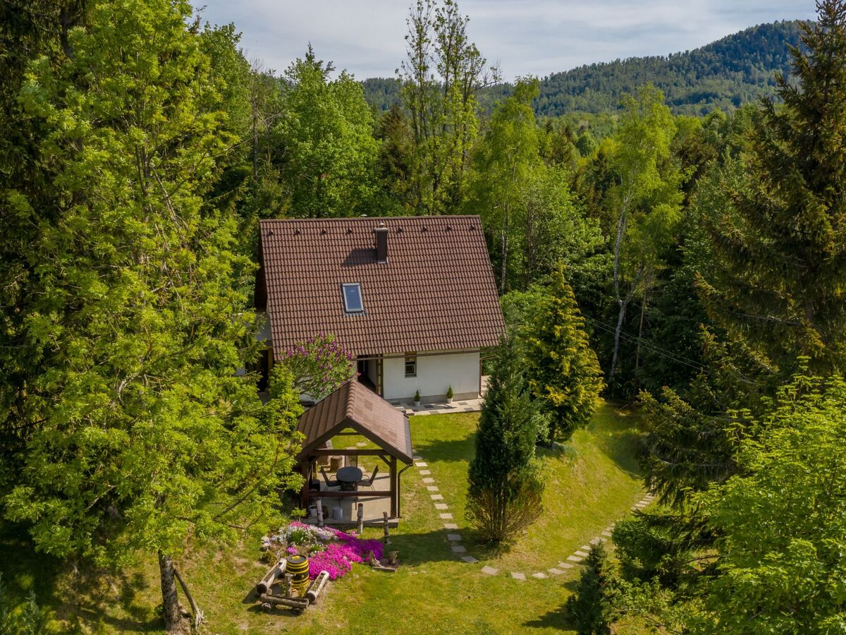 Maison 4 personnes au bord du lac Lokve - Photo 4