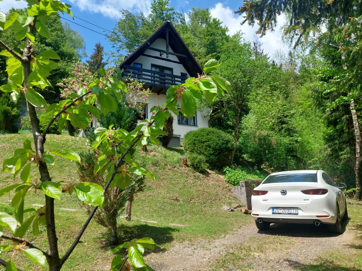 Maison 4 personnes au bord du lac Lokve - Photo 5