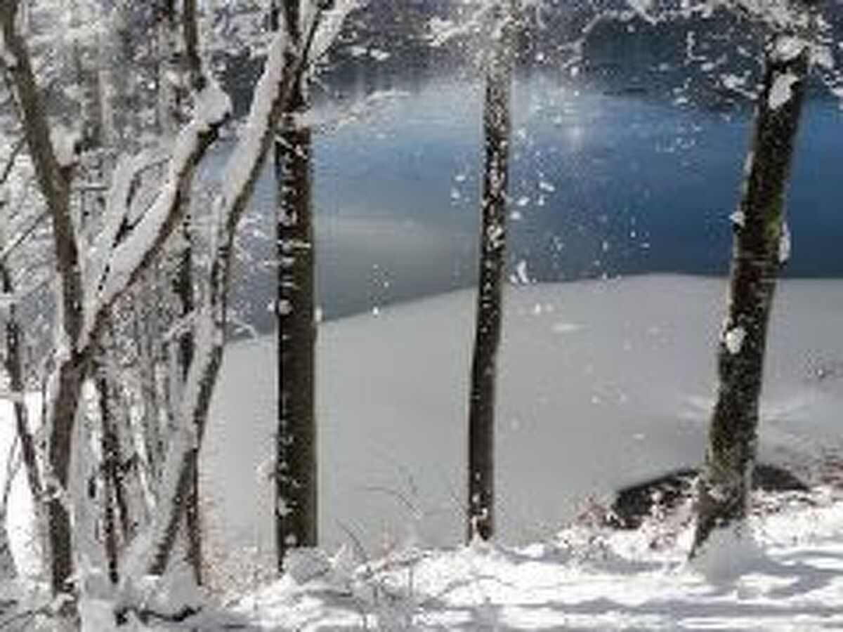 Maison 4 personnes au bord du lac Lokve - Photo 44