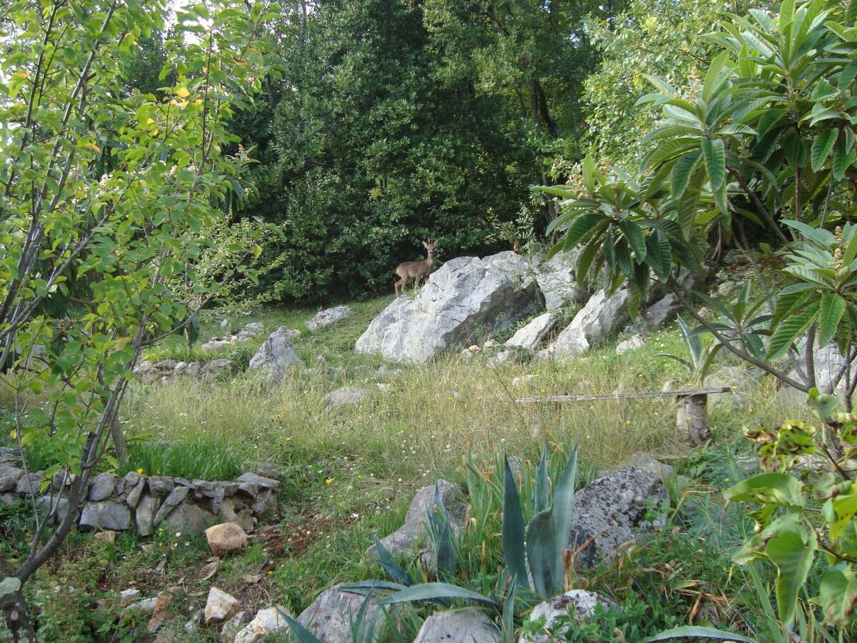 Maison individuelle Opatija, vue mer et jardin - Photo 29