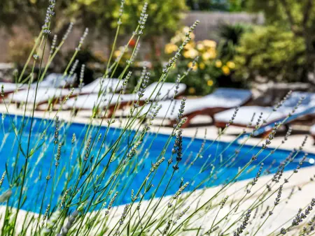 Villa Tonka, maison rénovée 6 pers. avec piscine à Krk : photo 8
