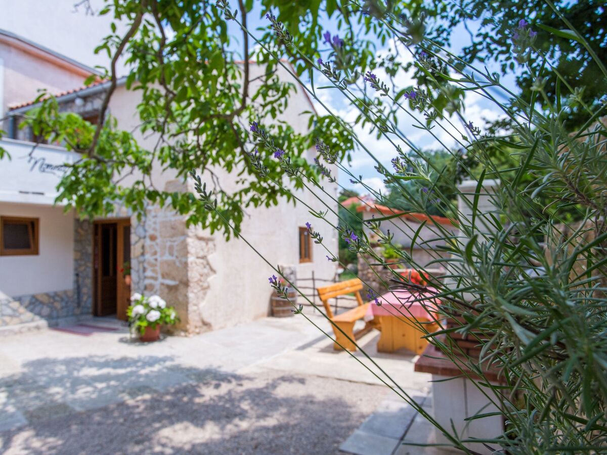 Maison en pierre Nonna Stara, 2 km de la plage - Photo 3