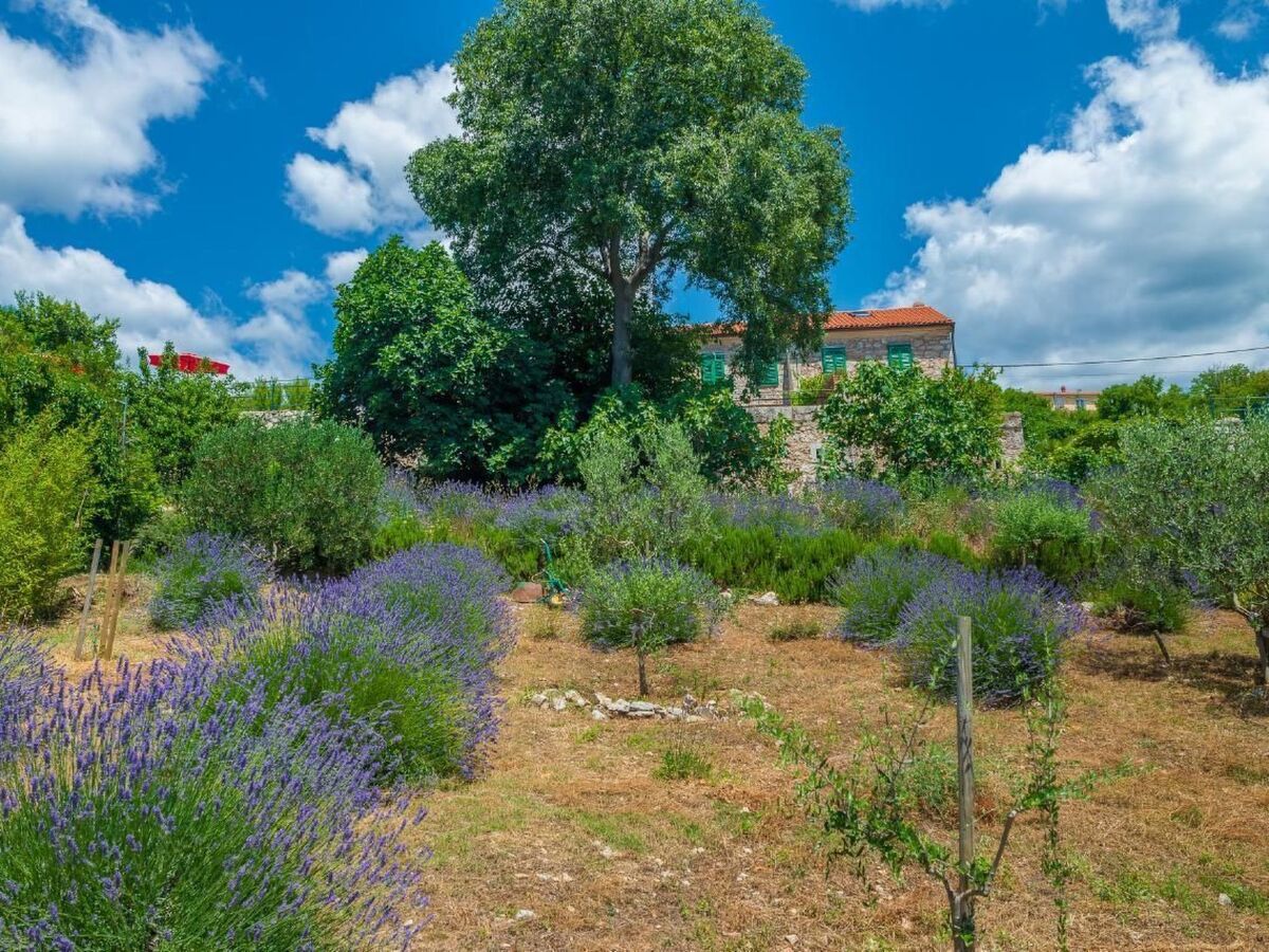Villa Ivanka, maison avec piscine et vue mer à Crikvenica - Photo 23