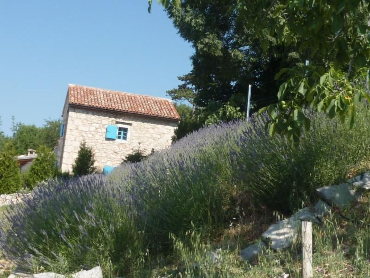 Villa Ivanka : maison avec piscine privée à Crikvenica - Photo 27