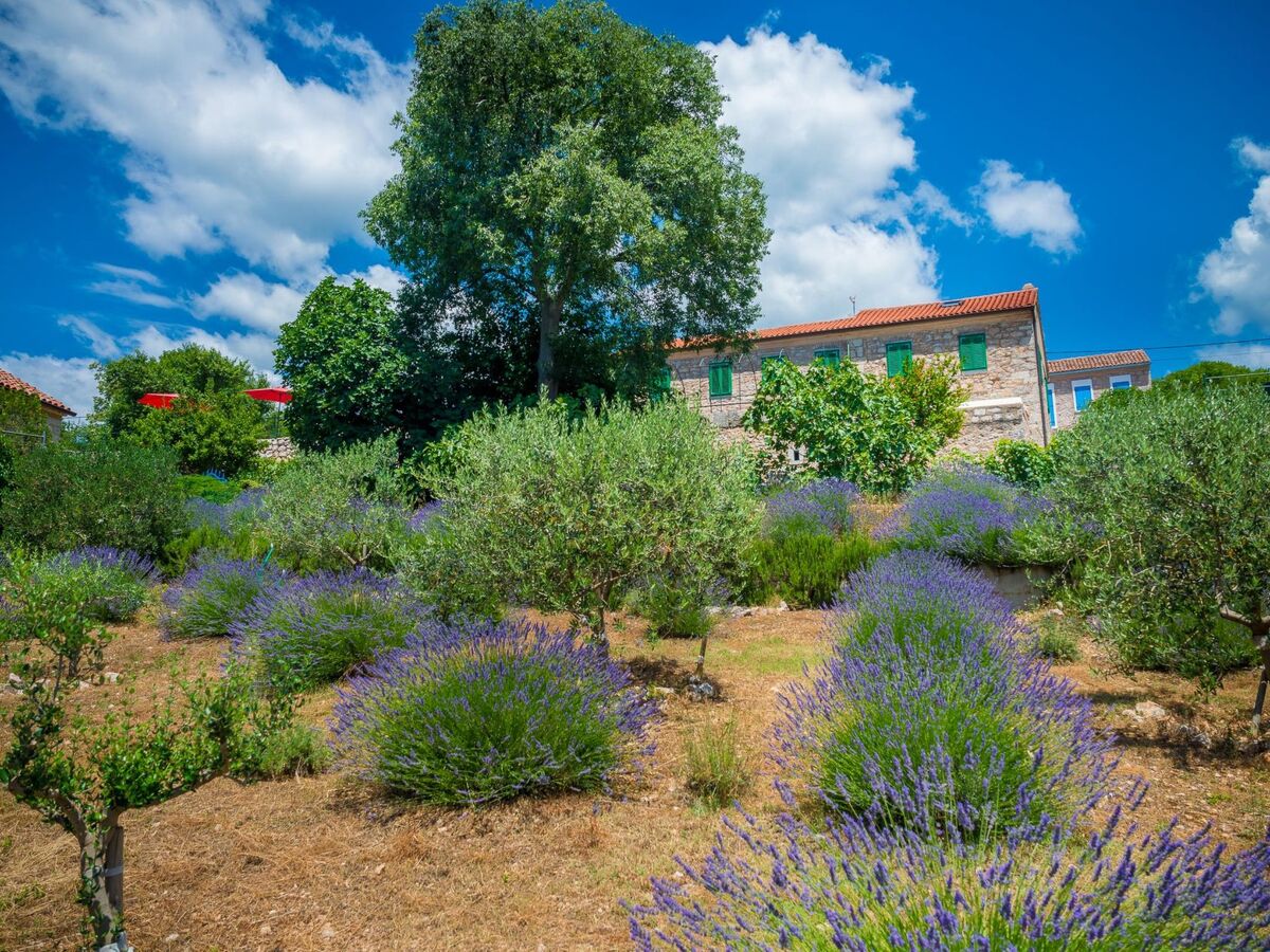 Villa Vesna, maison de pierre 4 chambres avec piscine à Crikvenica - Photo 28