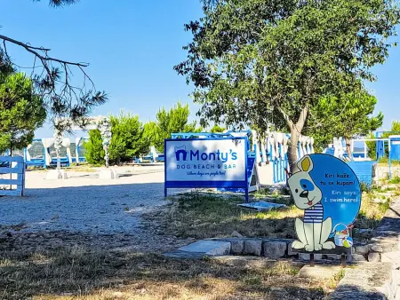 Villa trois chambres avec jacuzzi à Crikvenica : photo 48